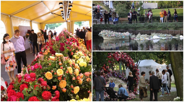 [ZDJĘCIA] To już jest koniec. 46. Święto Róży przechodzi do historii - Zdjęcie główne