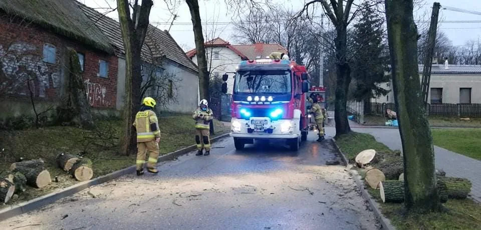 Strażacy usuwają skutki wichury, jaka przeszła przez powiat kutnowski