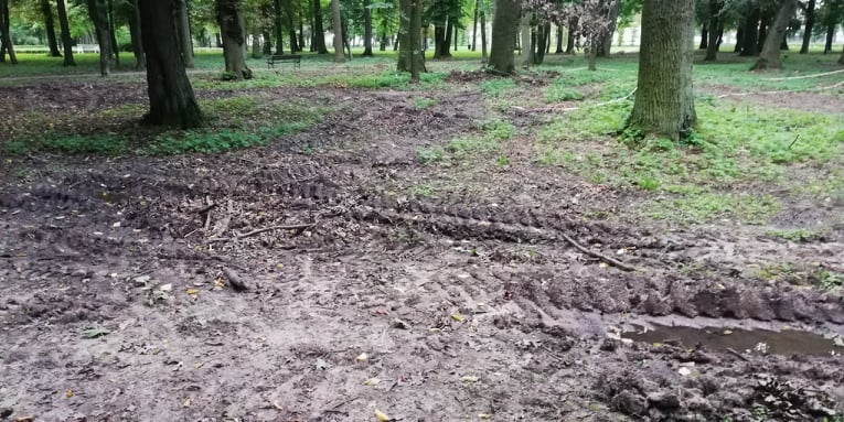 Niedokończone prace i porozjeżdżane ścieżki w Parku Wiosny Ludów. Co dalej z uszkodzoną zielenią?