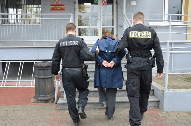 Zamordowała pięć szczeniaków i wyrzuciła do śmietnika. „Rozmawiała z policją jakby nic się nie stało” - Zdjęcie główne