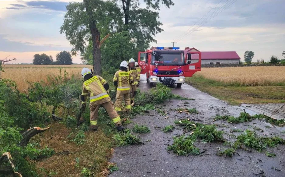 Mnóstwo interwencji strażaków. Nad powiat kutnowski nadciągnęła nawałnica - Zdjęcie główne