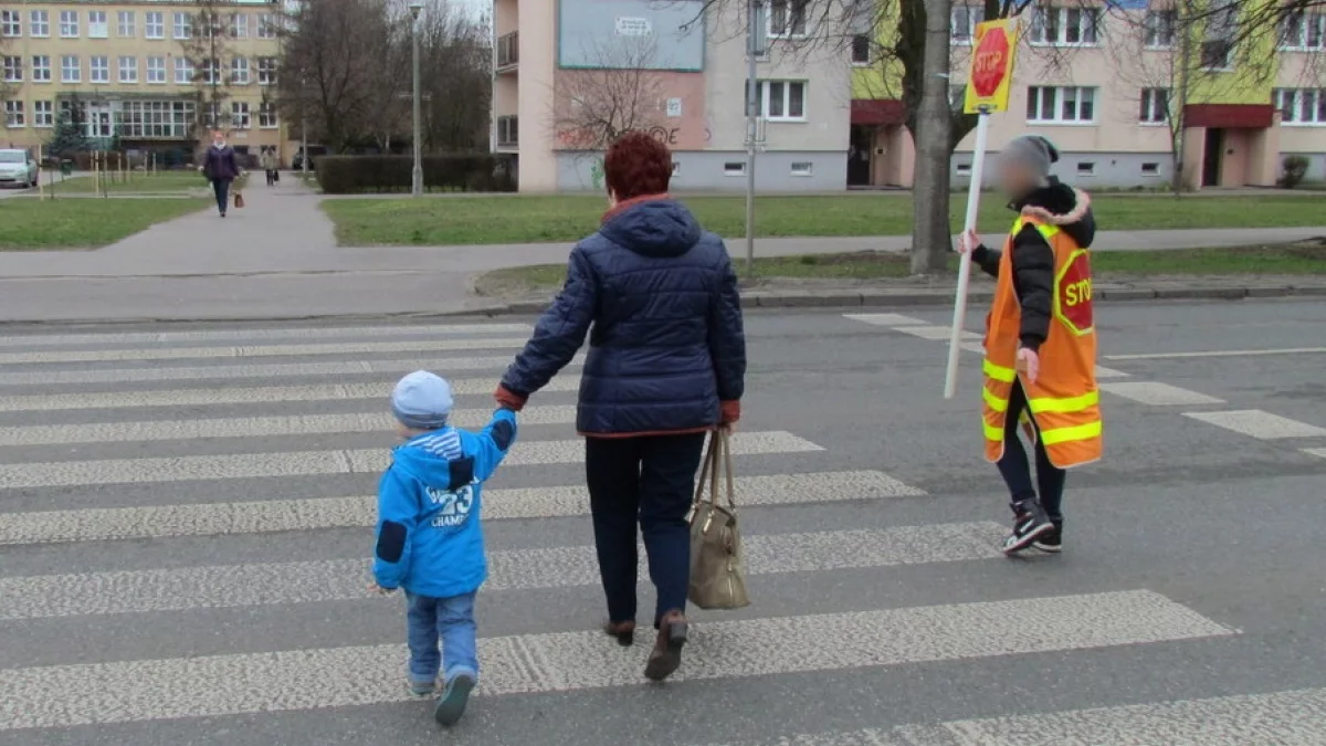 Szukają kogoś, kto będzie przeprowadzał dzieci przez ulicę. Ile zarobi taka osoba? - Zdjęcie główne