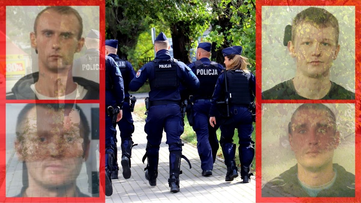 Kradzieże, włamania i rozboje. Tych złodziei szuka kutnowska policja [ZDJĘCIA] - Zdjęcie główne