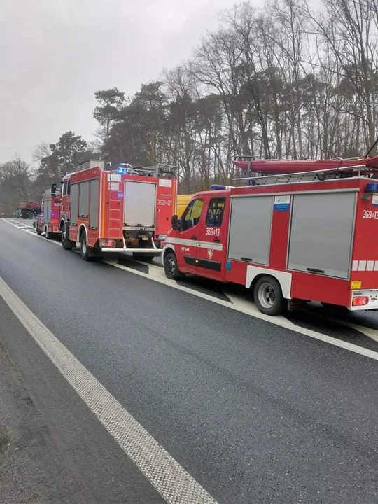 Na DK 60 między Kutnem a Płockiem doszło do wypadku. Do zdarzenia doprowadził 18-latek