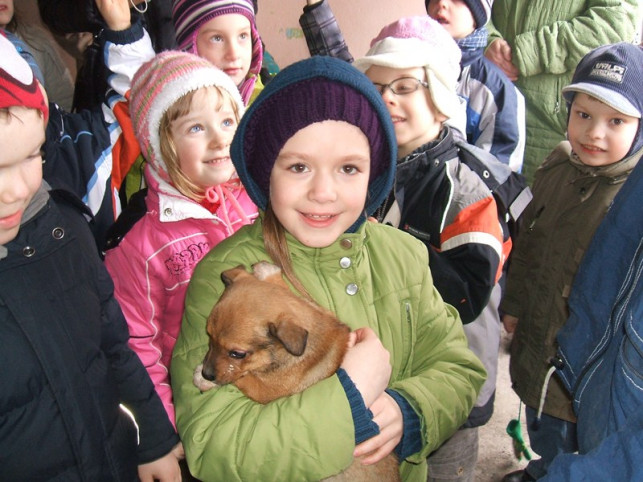 Przedszkolaki z wizytą w schronisku - Zdjęcie główne