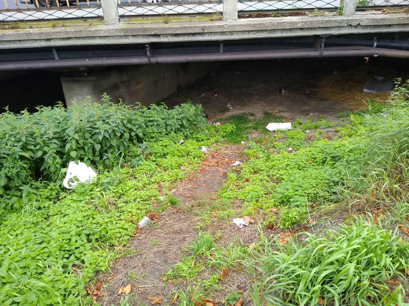 Okolice mostu nad Ochnią na ulicy Sienkiewicza w Kutnie