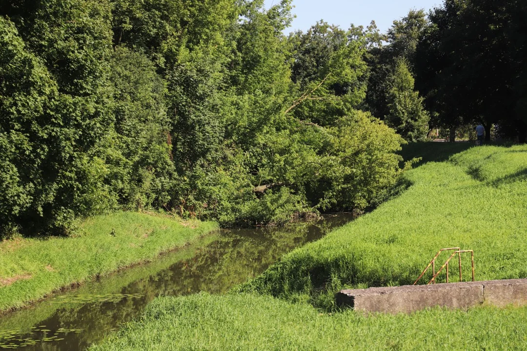 Drzewa runęły do rzeki, wszystko przez wichurę. W weekend znów może być nieciekawie [ZDJĘCIA/PROGNOZA DLA KUTNA] - Zdjęcie główne