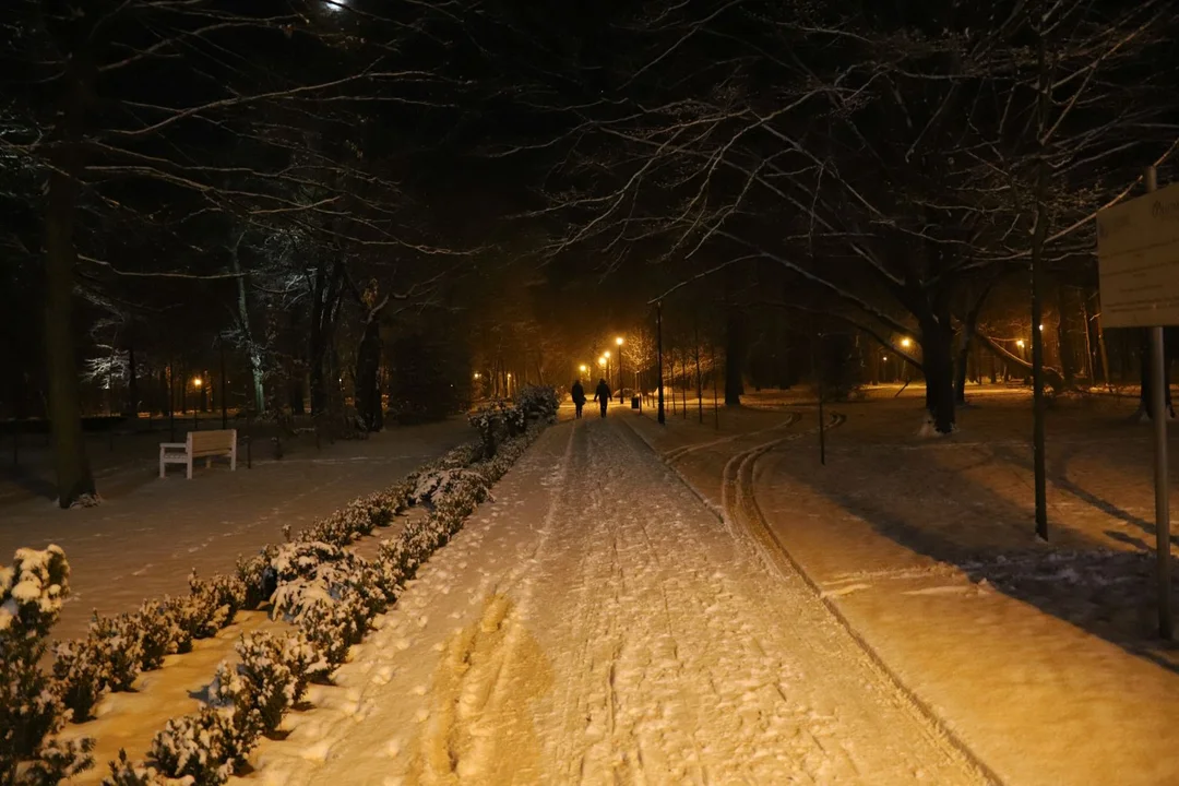 Park Wiosny Ludów w Kutnie