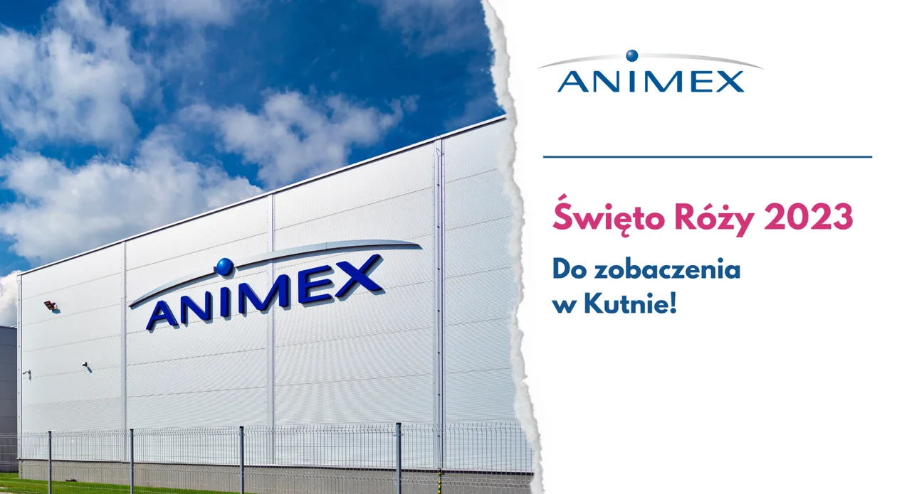 Animex - Święto Róży 2023 - Zdjęcie główne