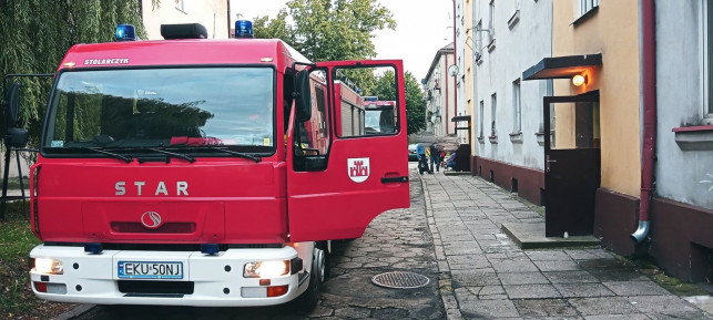 [FOTO] Cztery zastępy w akcji w Żychlinie. Powodem był... - Zdjęcie główne