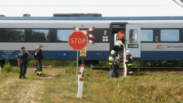 [ZDJĘCIA] Potrójna śmierć na torach! Pociągi potrąciły matkę i dwójkę dzieci - Zdjęcie główne