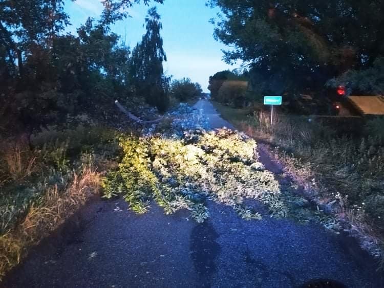 Połamane drzewa, zerwane dachy i liczne interwencje straży. Przez powiat kutnowski przeszła nawałnica