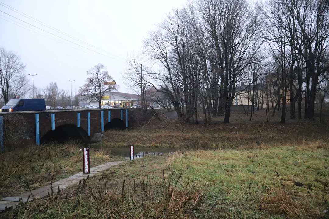 W Kutnie w okolicach rzeki Ochni ma powstać nowy park