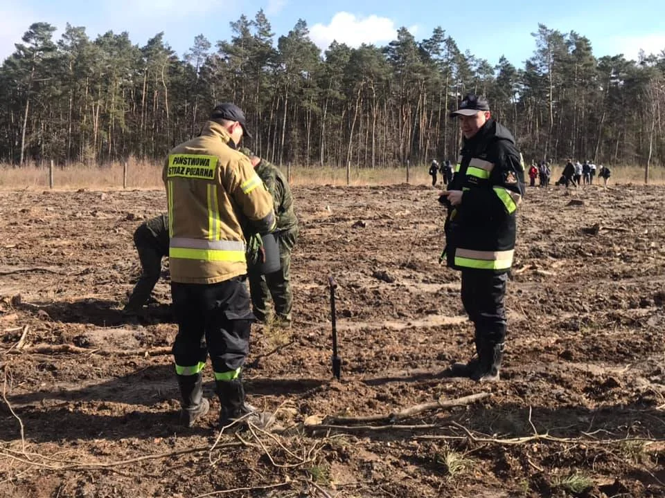 W powiecie kutnowskim trwa akcja ”Sadzimy zielonym do góry”