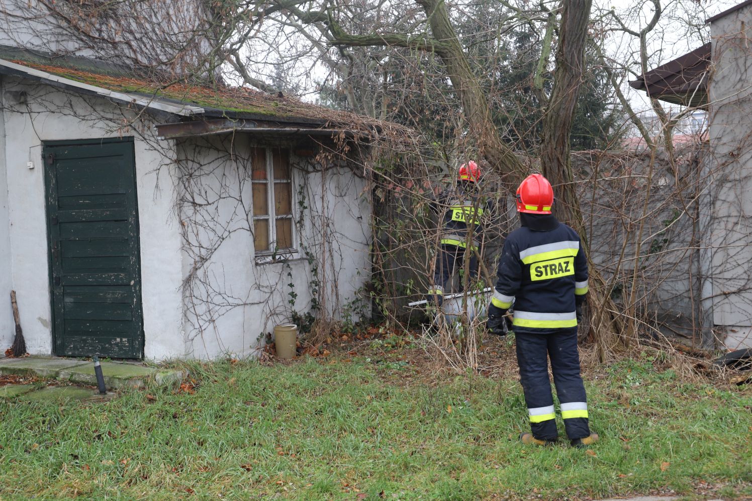 Strażacy z Kutna próbowali ściągnąć z dachu kota