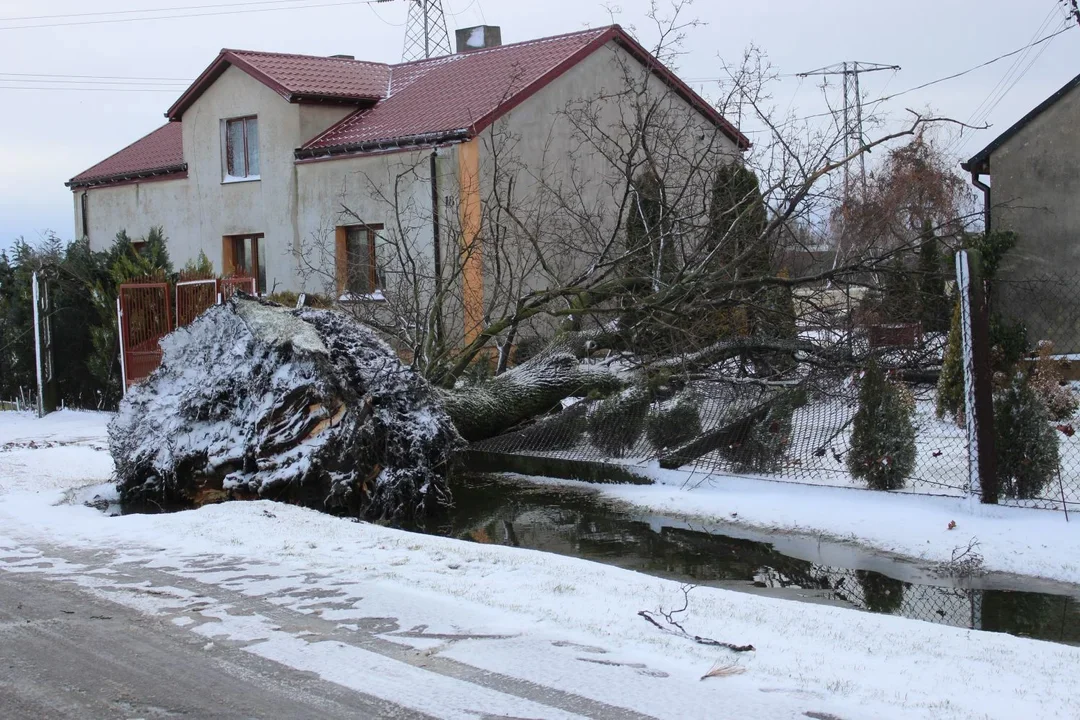 Przez powiat kutnowski przeszła nawałnica