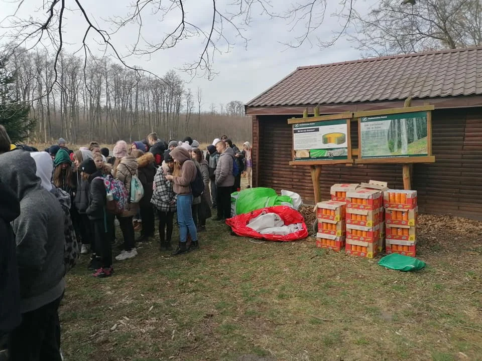 W powiecie kutnowskim trwa akcja ”Sadzimy zielonym do góry”