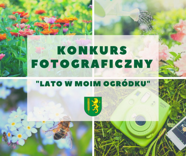 Konkurs fotograficzny - Zdjęcie główne