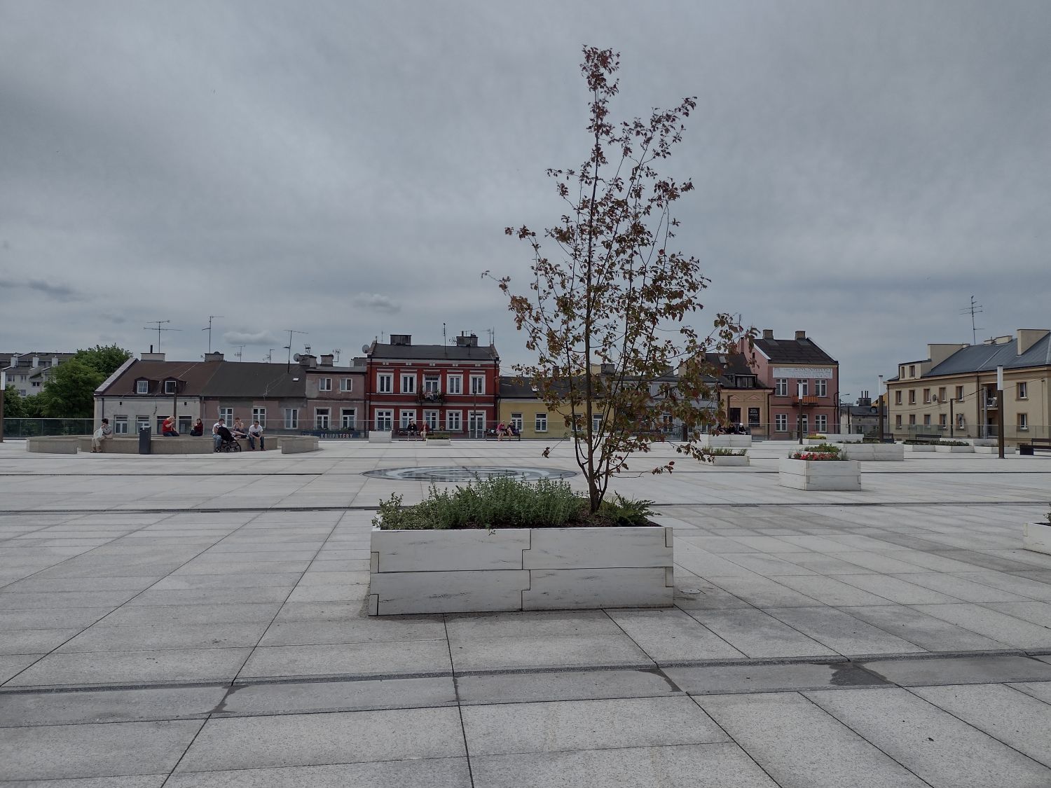 Roślinność na Placu Wolności 