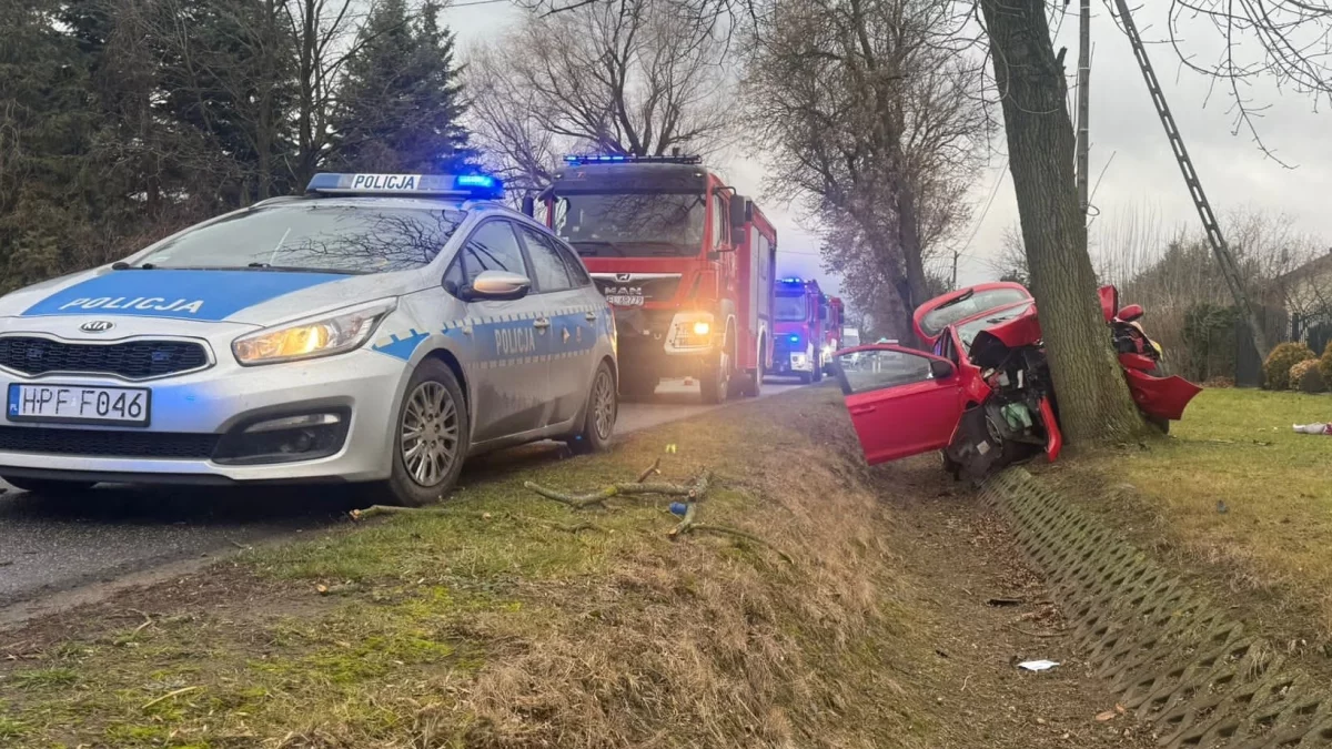 Jedna osoba nie żyje, kolejne są ranne. Pod Kutnem osobówka uderzyła w drzewo - Zdjęcie główne