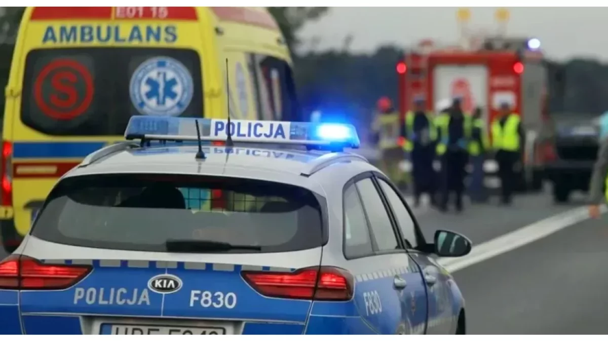 Przełom w sprawie śmiertelnego wypadku na DW 702. Na policję zgłosił się 57-latek