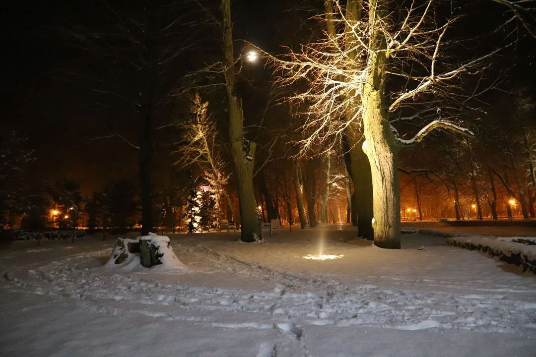 Park Wiosny Ludów w Kutnie