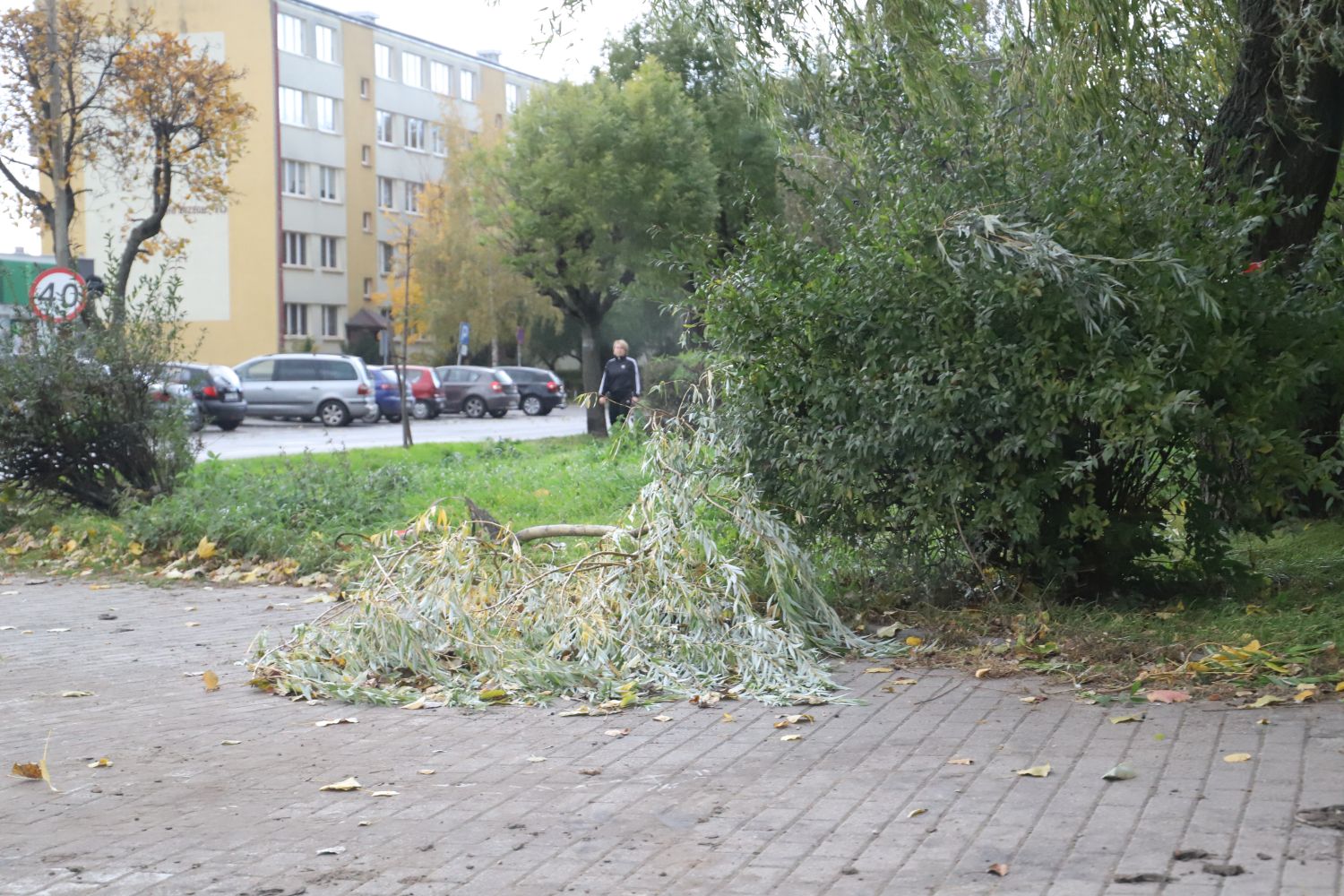 Zerwane gałęzie widać na wielu ulicach Kutna