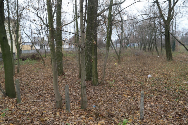 [FOTO] Tu na razie nie ma nic, ale może być... nowy park! - Zdjęcie główne