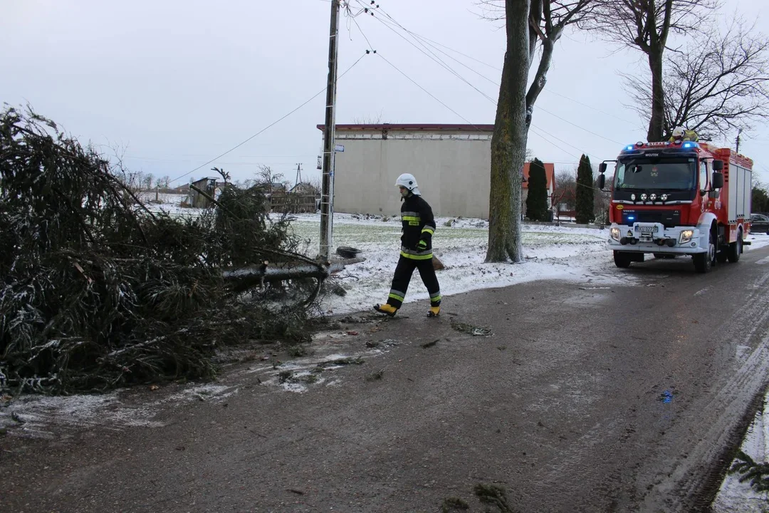 Jest ostrzeżenie dla powiatu kutnowskiego. Zbliżają się wichury - Zdjęcie główne