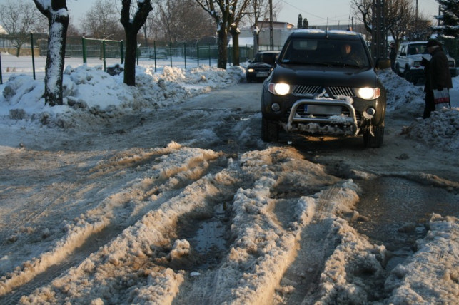 Rachunek dla właściciela stawu - Zdjęcie główne