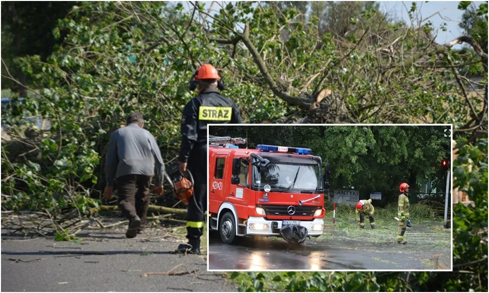 Nawałnica siała spustoszenie w Kutnie i okolicach. Strażacy interweniowali już 70 razy [FOTO] - Zdjęcie główne