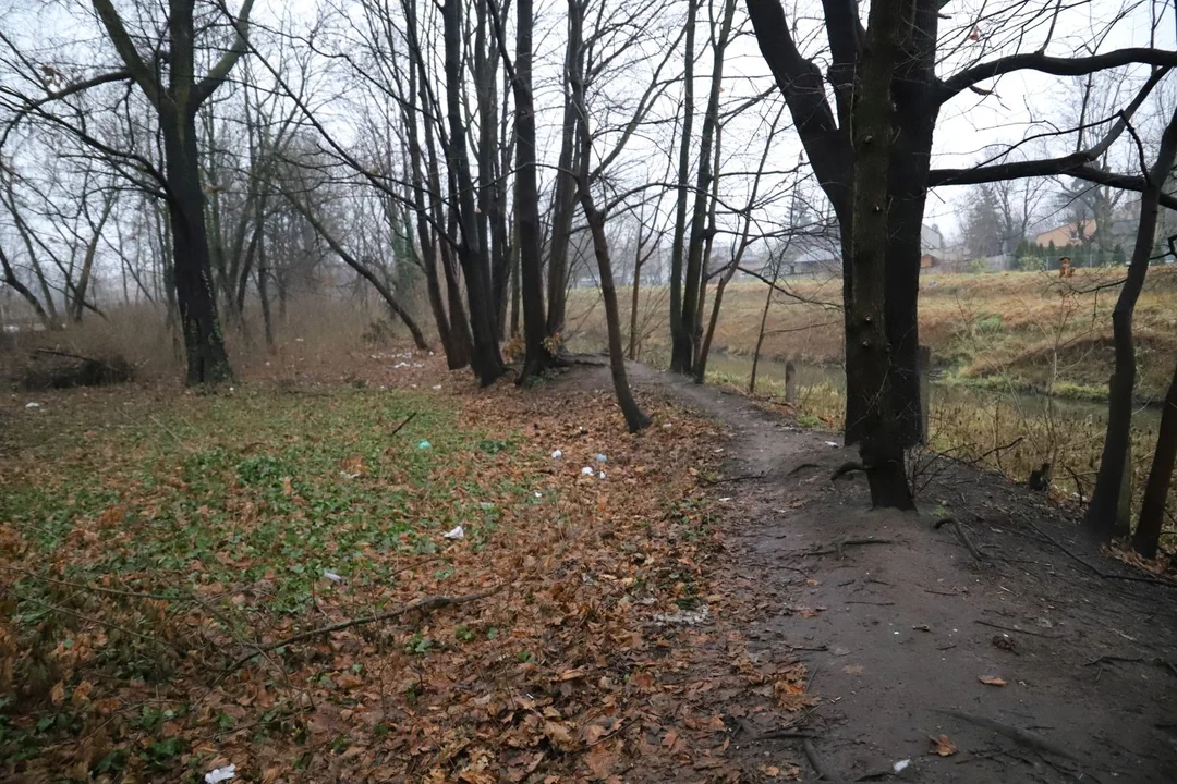 W Kutnie w okolicach rzeki Ochni ma powstać nowy park