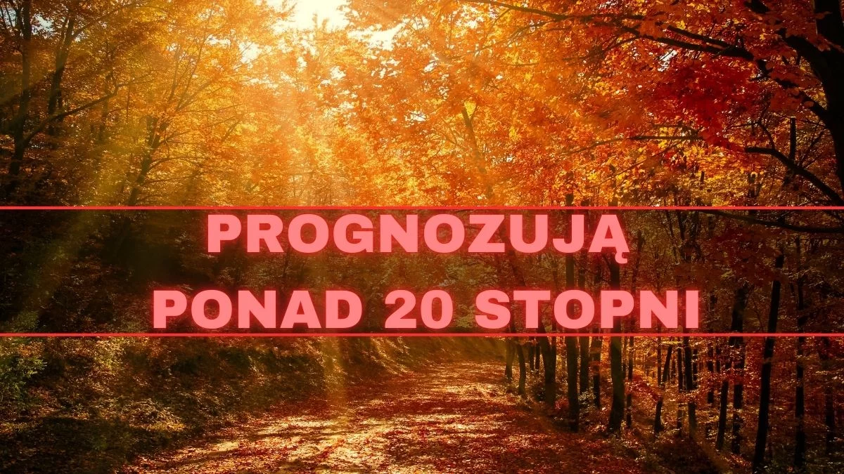 Za kilka dni przyjemna pogoda? Może być ponad 20 stopni