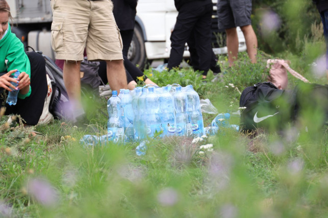 To będzie kolejny protest i czuwanie wegan pod kutnowską ubojnią