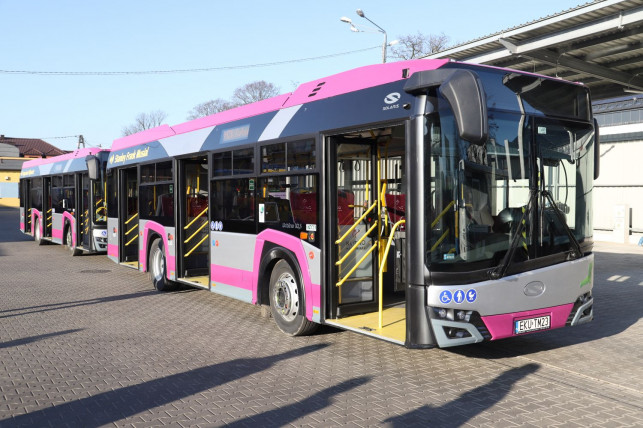 Zbliżają się święta. Będą zmiany w kursowaniu autobusów - Zdjęcie główne