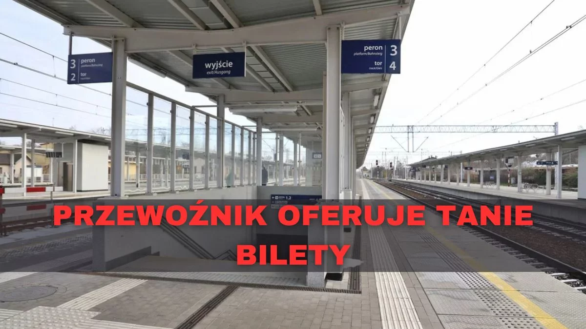 Przewoźnik oferuje dużą zniżkę. Te osoby mogą jeździć pociągami - Zdjęcie główne