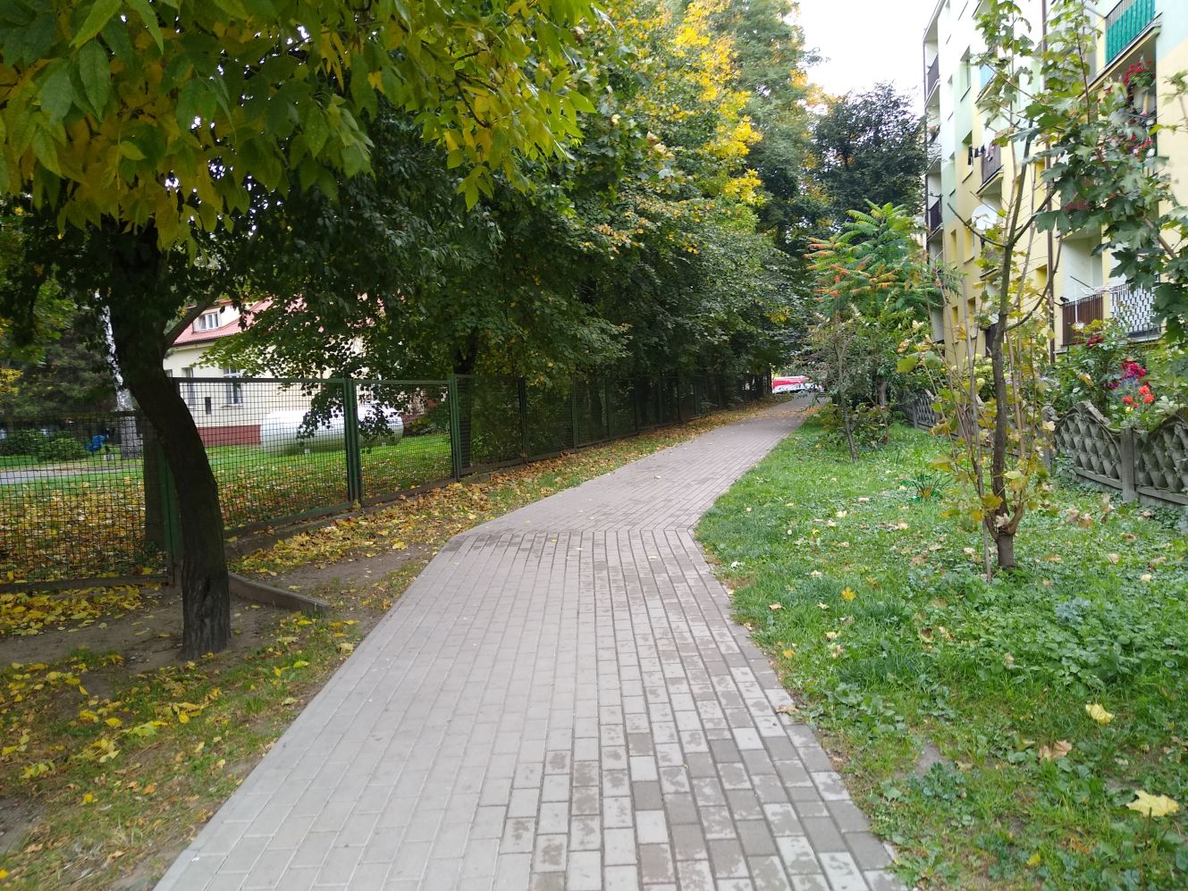 Okolice centrum Kutna - Barlickiego, Braci Śniadeckich, czy Kościuszki