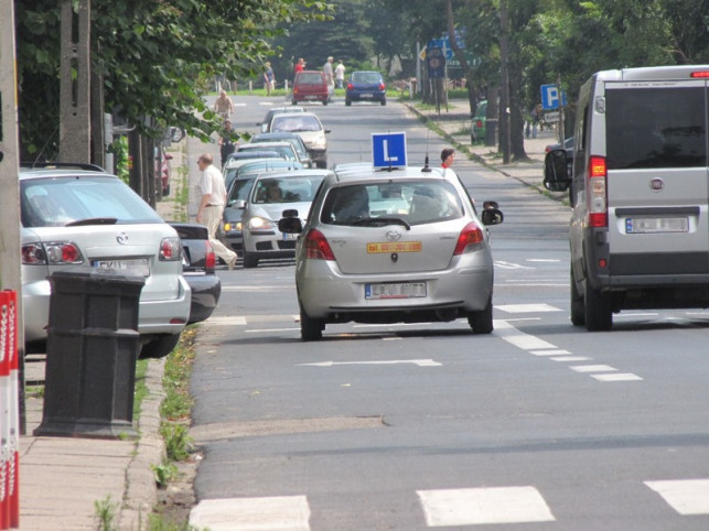 Elki w centrum denerwują - Zdjęcie główne