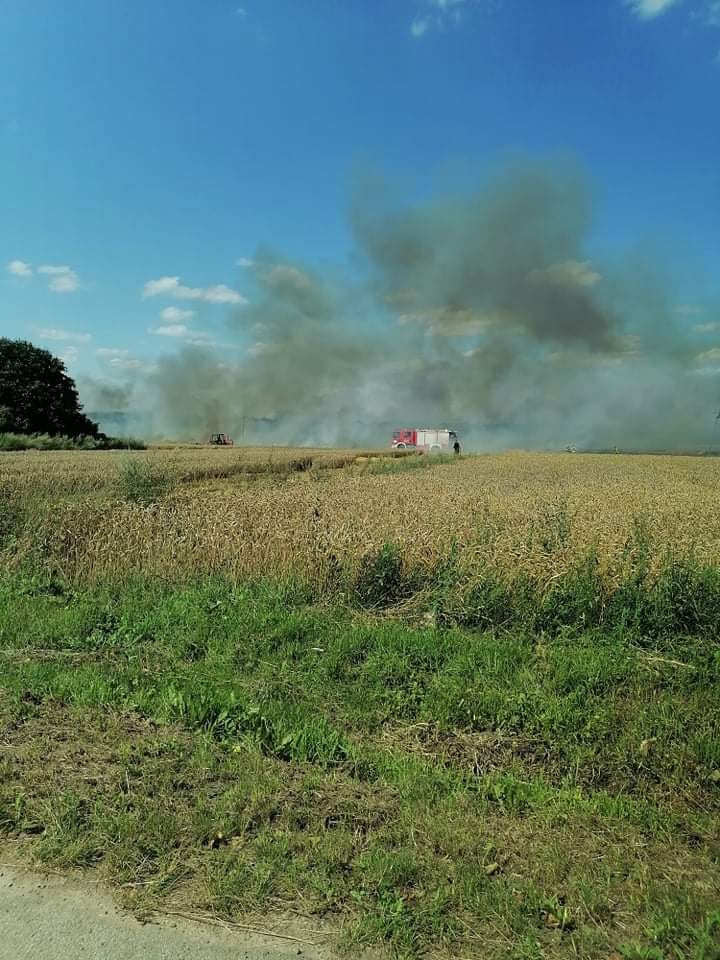 Duży pożar w okolicach Kutna. Na miejscu kilka zastępów straży pożarnej