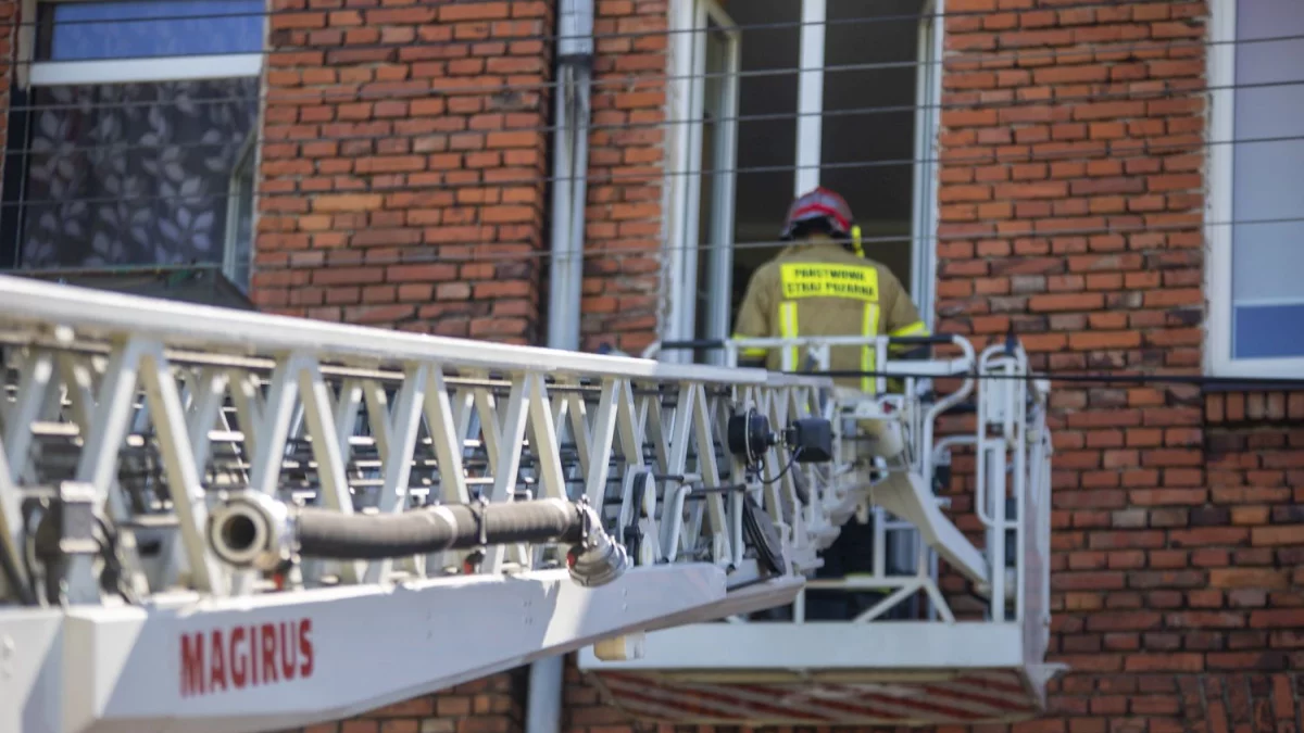 Dwie rodziny straciły dom w pożarze. Trwa zbiórka, każda złotówka na wagę złota - Zdjęcie główne