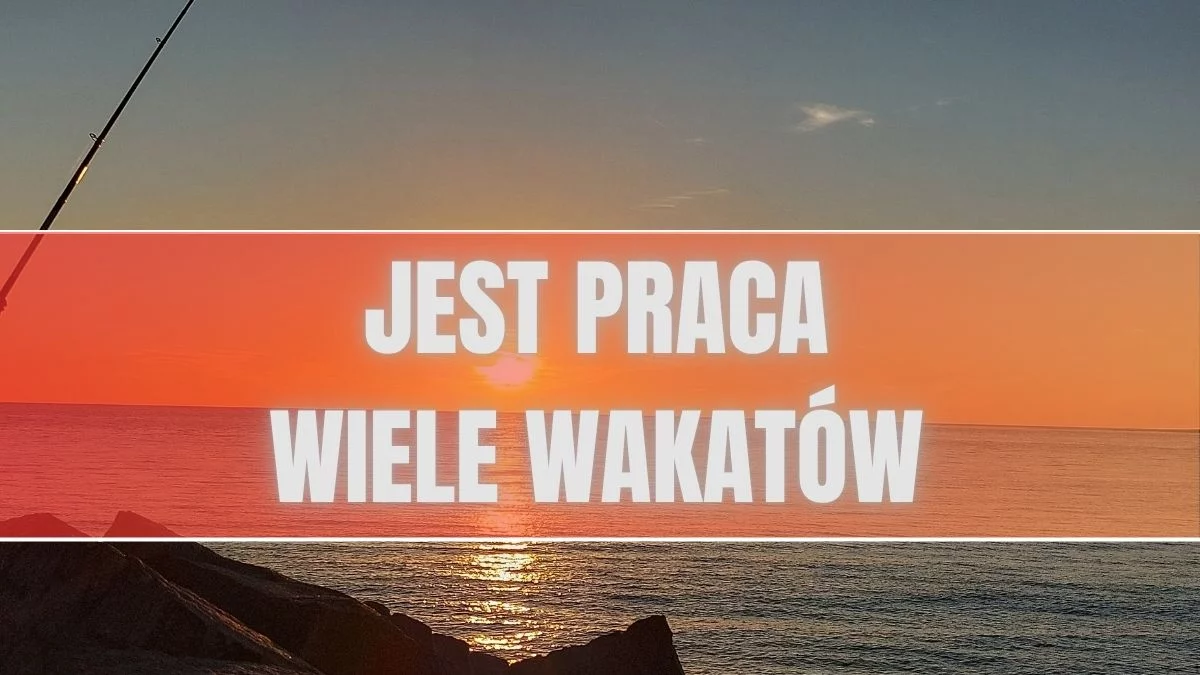 Letnia praca dla młodych, ale nie tylko. Można zarobić i przeżyć przygodę
