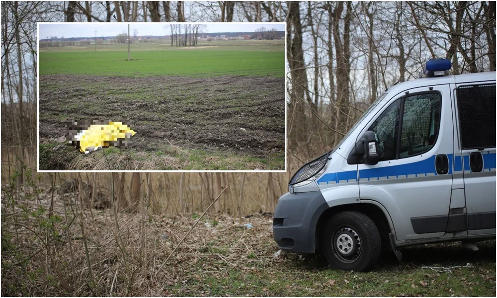 Tragedia pod Kutnem. Nie żyje mężczyzna [ZDJĘCIA] - Zdjęcie główne