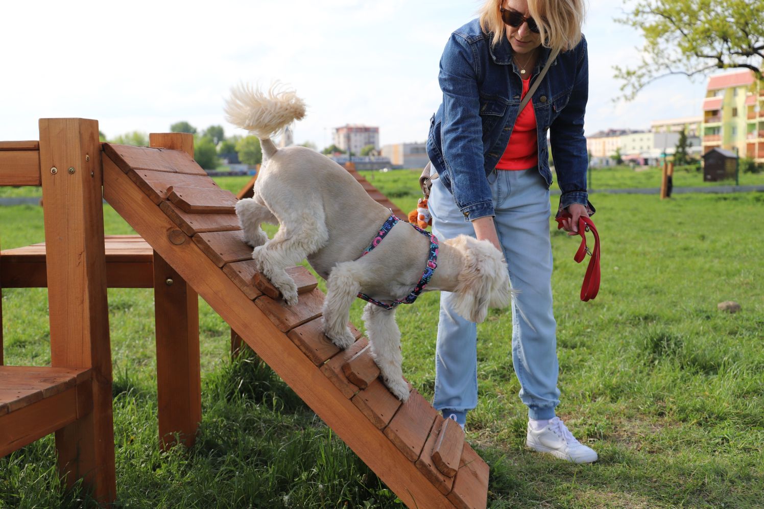 Psi park w Kutnie cieszy się dużą sympatią czworonogów i ich właścicieli