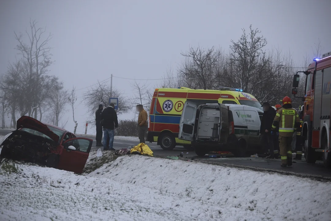 Wypadek na DW 702 między Kutnem a Łodzią