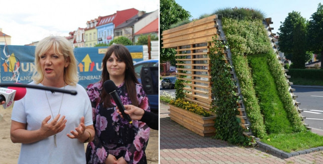 Zielone przystanki w Kutnie? Propozycja trafiła już do prezydenta - Zdjęcie główne