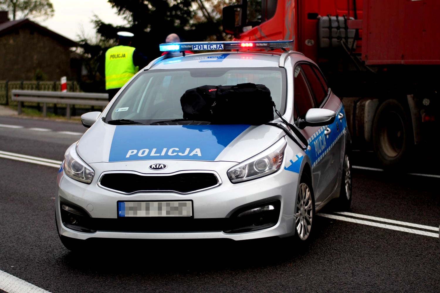 BMW zderzyło się z łosiem na autostradzie. Groźnie pod Kutnem - Zdjęcie główne