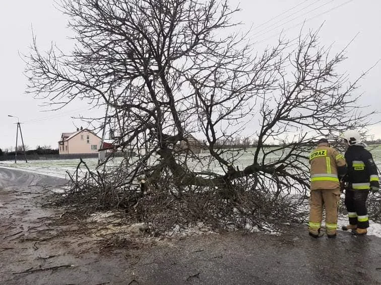 W wyniku załamania pogody w powiecie kutnowskim odnotowano wiele interwencji. Jedna z nich dotyczyła zawalonej stodoły