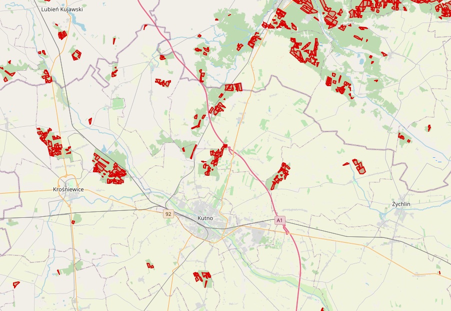 Czy w kutnowskich lasach czeka nas wielka wycinka drzew?