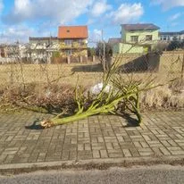 Strażacy usuwają skutki wichury, jaka przeszła przez powiat kutnowski