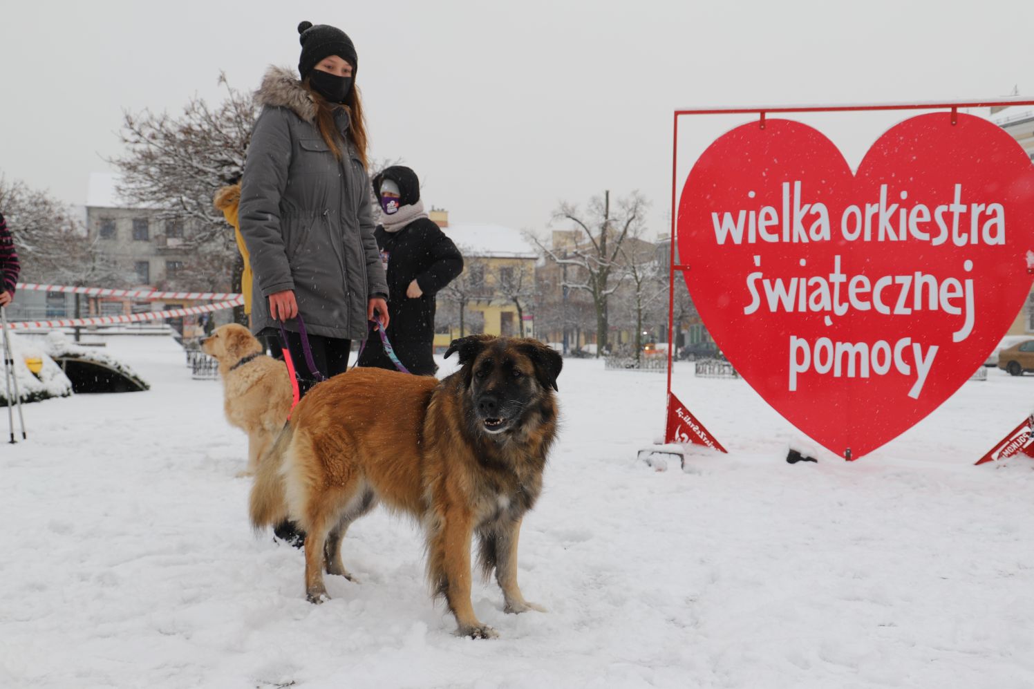 Mieszkańcy naszego miasta wybrali się na wspólny spacer by wesprzeć WOŚP